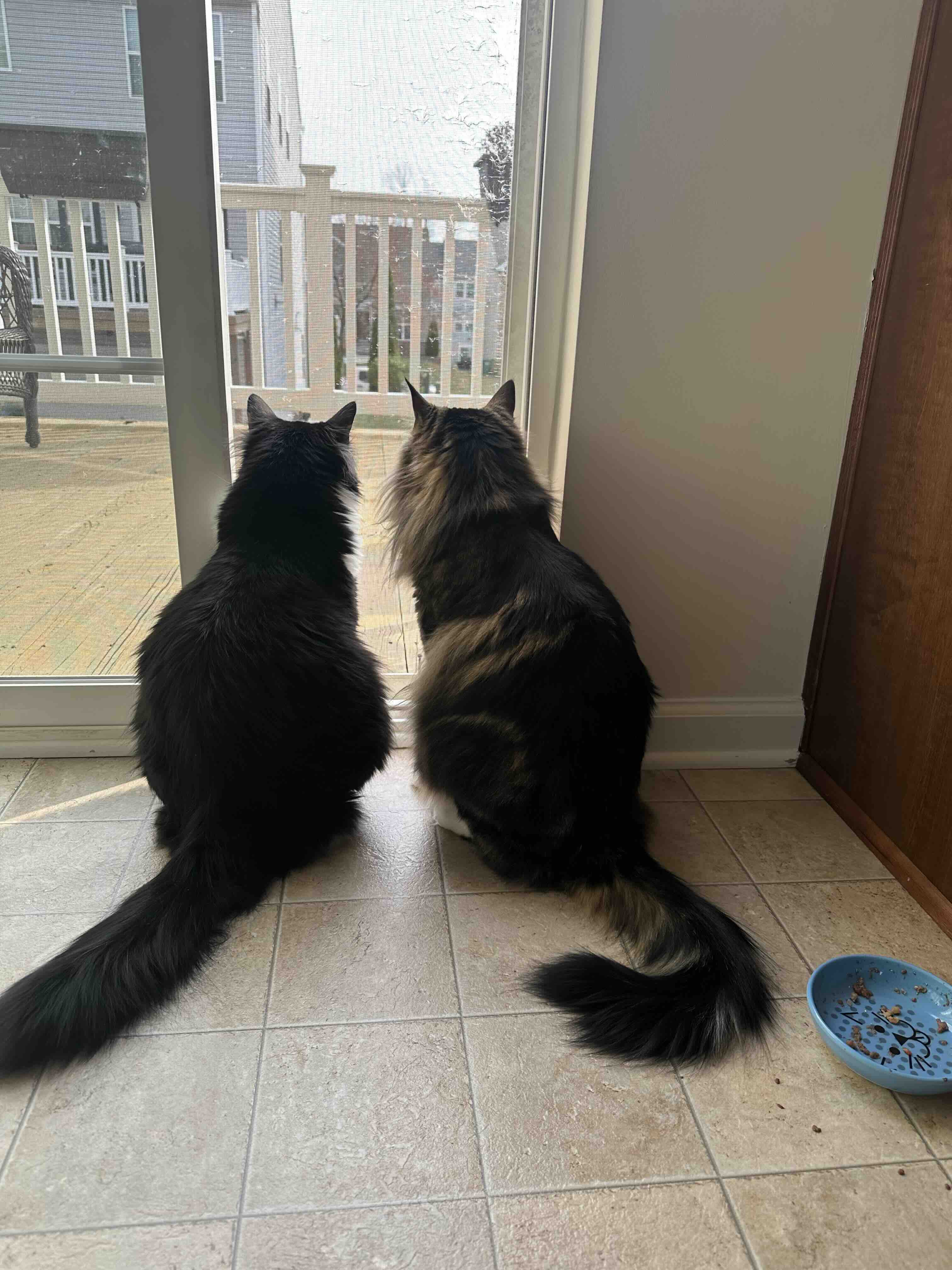 Arlo and Edie sitting at the window together